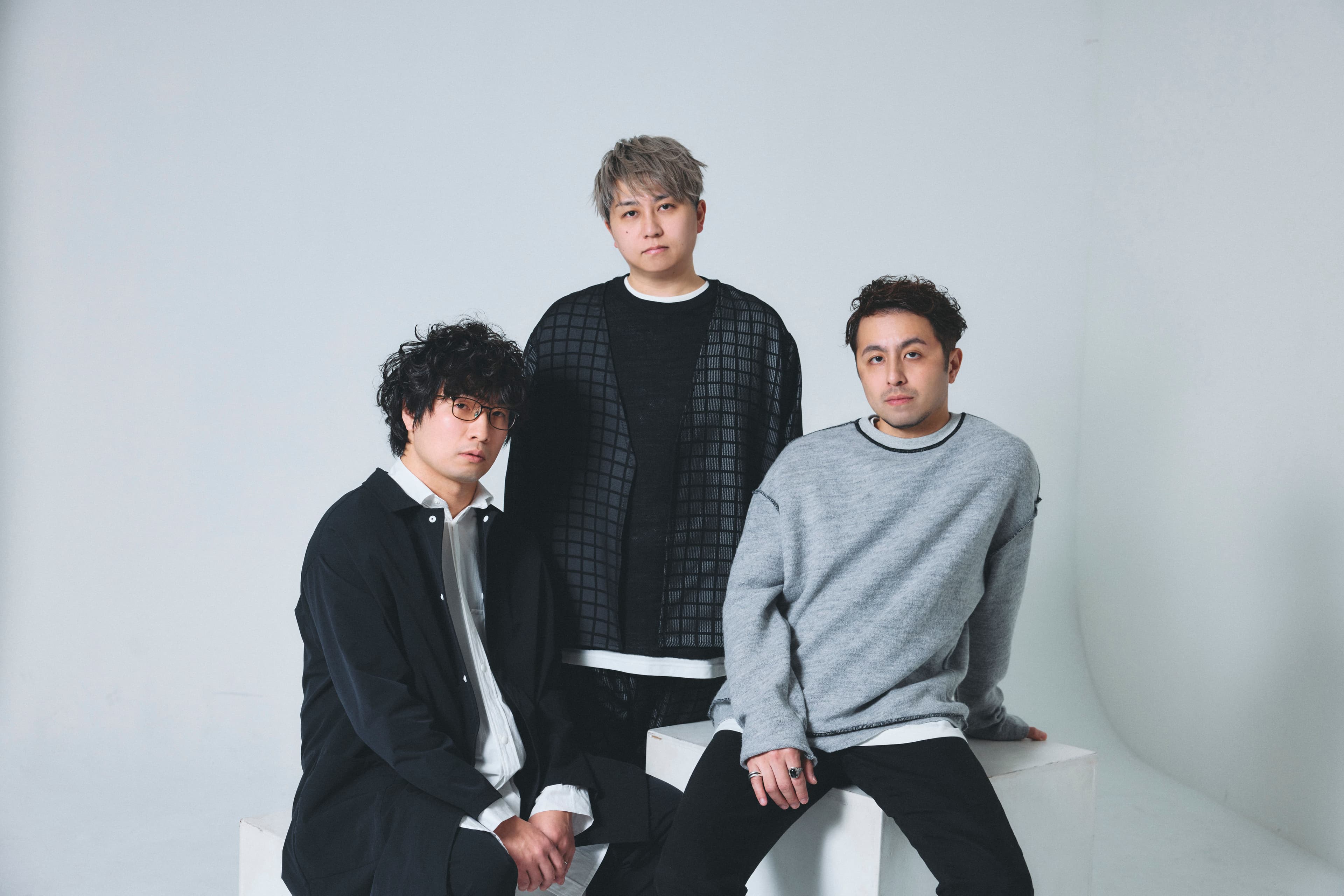 fox capture plan portrait